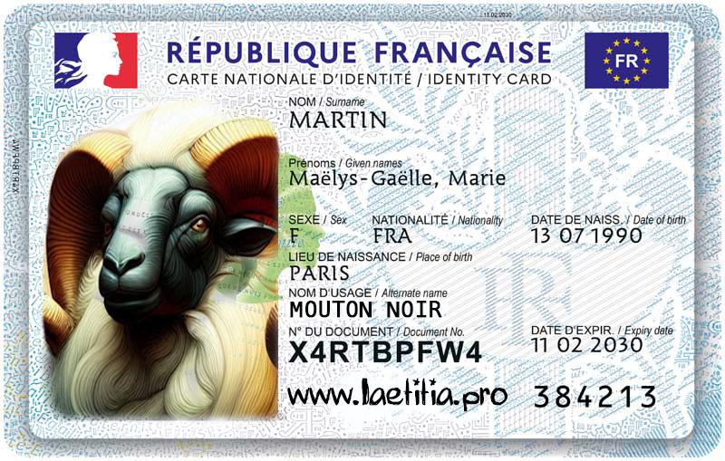 carte d'identité du mouton noir de la famille